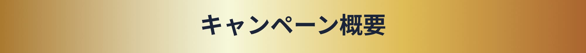 キャンペーン概要